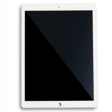 Apple iPad Pro 12.91st Gen